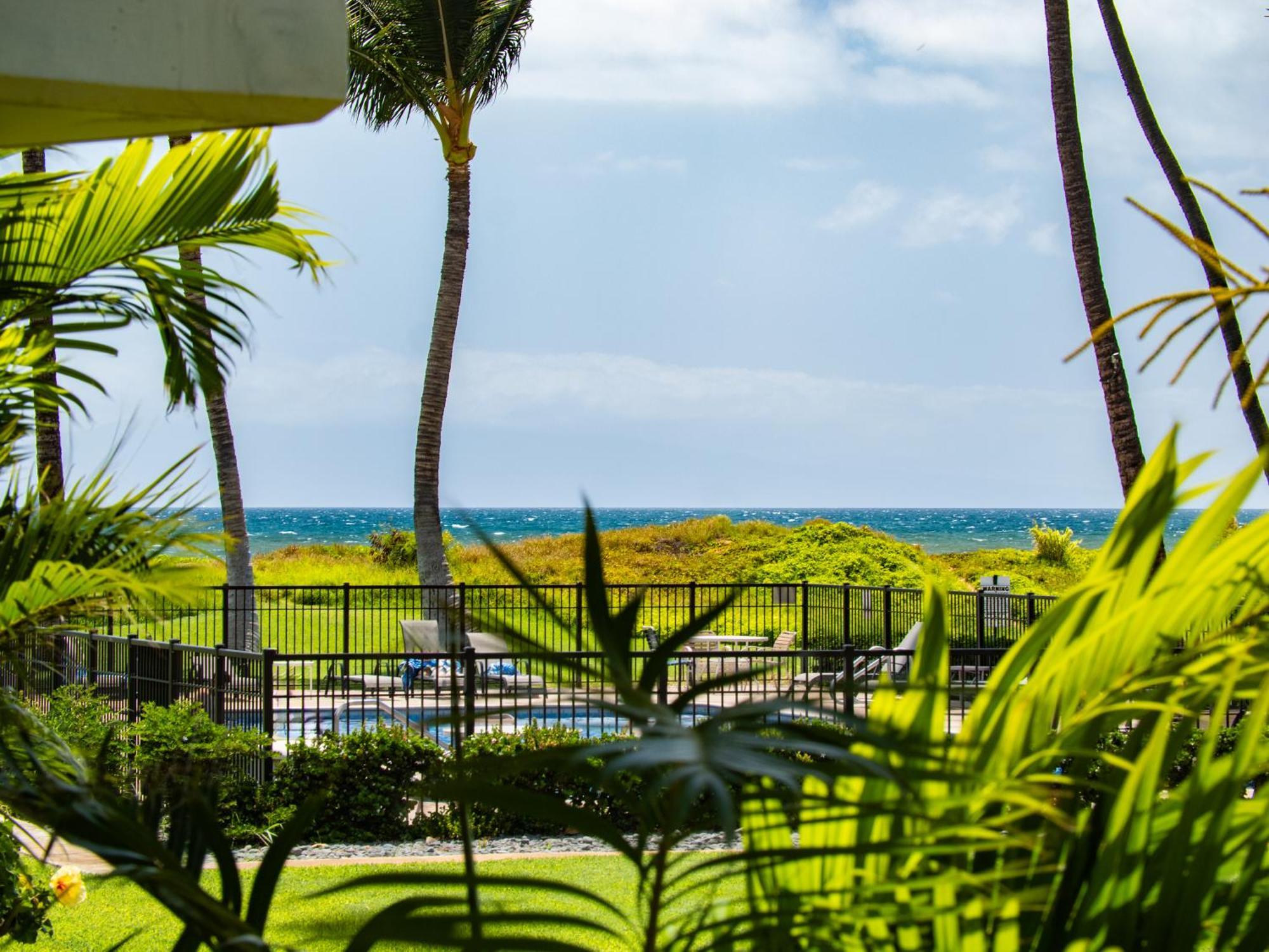 Wbh D116 Aloha Wai - Garden Suite Just Steps From The Sea Kihei Eksteriør billede
